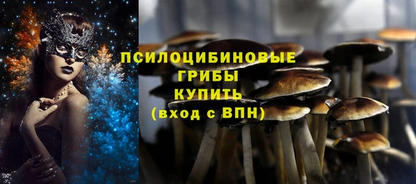 стафф Абинск